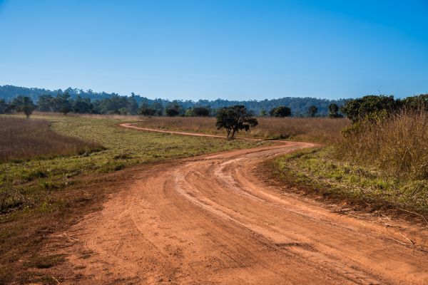 Dirt Driveway Repair in Portland