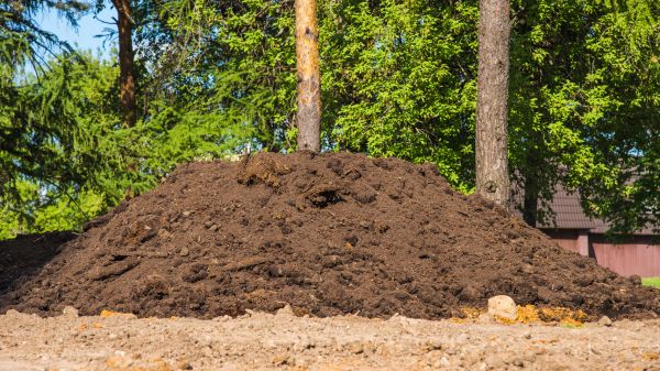 Dirt Installation in Portland