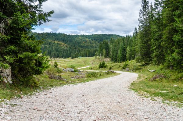 Cost of Gravel Road Grading in Portland