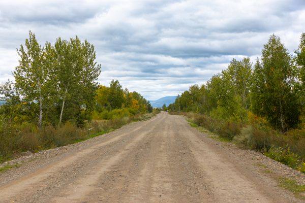 Dirt Road Repair in Portland
