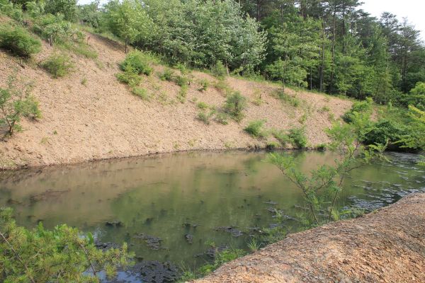 Cost of Pond Erosion Repair in Portland