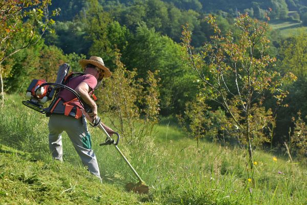 Cost of Slope Trimming in Portland
