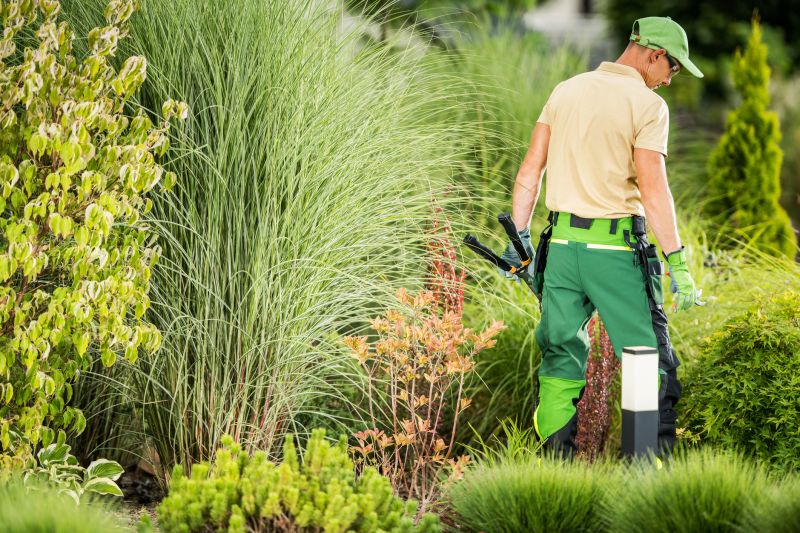 Landscape Grading Contractors